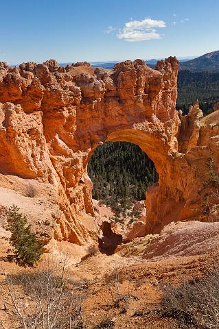 38 bryce canyon, natural bridge.jpg